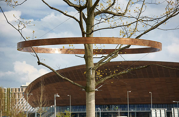 bronze tree ring sculpture by Ackroyd & Harvey