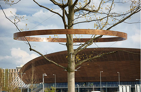 bronze tree ring sculpture by Ackroyd & Harvey